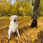 Ersteller:in Sophia Profilbild