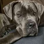 Ersteller:in Nicole Profilbild