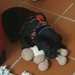 Ersteller:in Kai-Uwe Profilbild