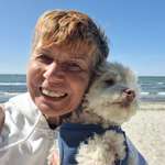 Ersteller:in Birgit Profilbild