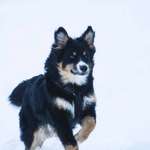 Ersteller:in Jessi Profilbild