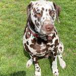 Ersteller:in Conny Profilbild