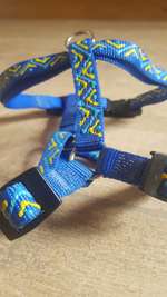 Halsband, Puppygeschirr 2x oder HUNTER-Leine Leder mit kleiner Blessur-Beitrag-Bild