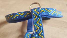 Halsband, Puppygeschirr 2x oder HUNTER-Leine Leder mit kleiner Blessur-Beitrag-Bild