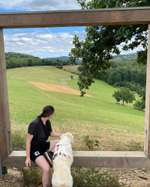 Hundeauslaufgebiet-Oberbach-Bild