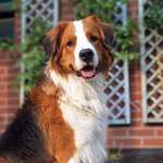 Ersteller:in Kristin Profilbild