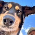 Ersteller:in Isabelle Profilbild