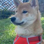 Ersteller:in Rob Profilbild