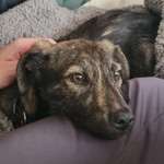 Ersteller:in Lo Profilbild