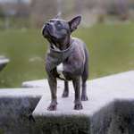 Ersteller:in Anastasia Profilbild