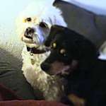 Ersteller:in Rita Profilbild