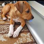 Ersteller:in Flamur Profilbild