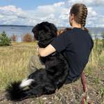 Ersteller:in Jette Profilbild