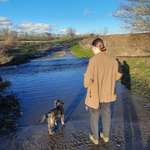 Ersteller:in Lili Profilbild