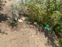 Hundeauslaufgebiet-Binsfeld-Bild