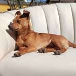 Ersteller:in Saskia Profilbild