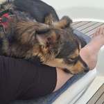 Ersteller:in Brigitte Profilbild