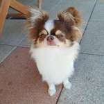 Ersteller:in Elli Profilbild