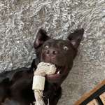 Ersteller:in alina Profilbild