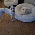 Ersteller:in Mike Profilbild