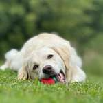 Ersteller:in Sarah Profilbild