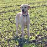 Ersteller:in Laura Profilbild