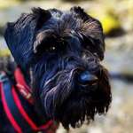 Ersteller:in Sven Profilbild