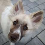 Ersteller:in Franzi Profilbild