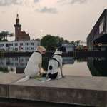 Ersteller:in Ul Profilbild