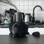 Ersteller:in Sandra Profilbild