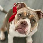 Ersteller:in Bahar Profilbild