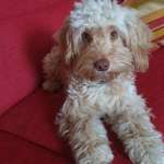 Ersteller:in Angela Profilbild