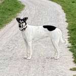 Ersteller:in Anette Profilbild