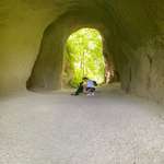 Ersteller:in Stephanie Profilbild