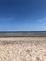 Hundeauslaufgebiet-Hundestrand Wohlenberg-Bild