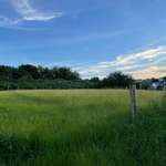 Ersteller:in Dirk Profilbild