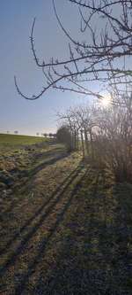 Hundeauslaufgebiet-Sommerberg-Bild