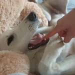 Ersteller:in Lilly Profilbild