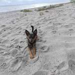 Ersteller:in Tahnee Profilbild