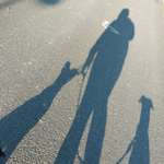 Ersteller:in Chiara Profilbild