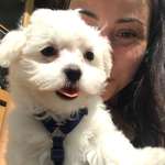 Ersteller:in Gina Profilbild