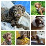 Ersteller:in Babs Profilbild