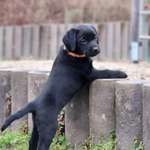 Ersteller:in Meike Profilbild