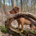 Ersteller:in Sigrun Profilbild