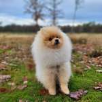 Ersteller:in Benjamin Profilbild