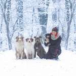 Ersteller:in Kuestenschnauzen Profilbild