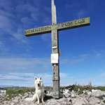 Ersteller:in Basko Profilbild