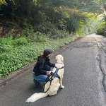 Ersteller:in Miriam Profilbild