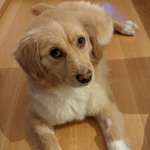 Ersteller:in Sabrina Profilbild