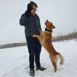 Ersteller:in Jan Profilbild